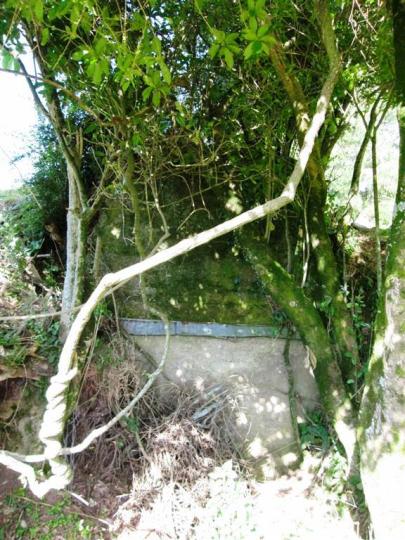 Lime Kiln, Rockville, Tasman District