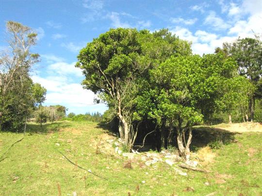 Lime Kiln, Rockville, Tasman District