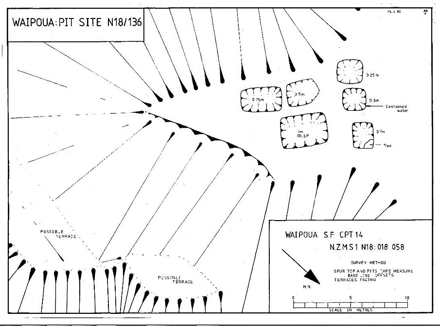 Pits/ Terraces. Plan of Pits/ Terraces (New Zealand Archaeological Association O06/203)